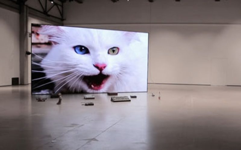 No poem loves its poet, 2020, modular LED screen, found objects, video installation